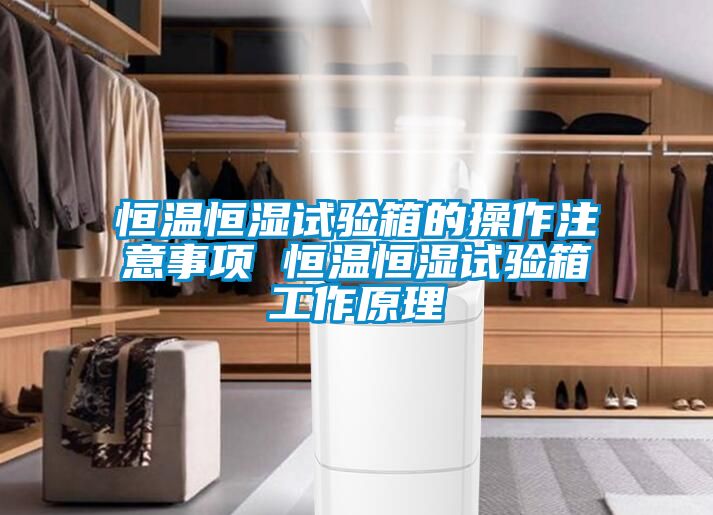 恒溫恒濕試驗(yàn)箱的操作注意事項 恒溫恒濕試驗(yàn)箱工作原理