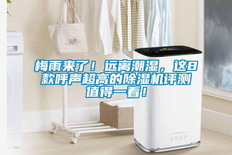 梅雨來了！遠(yuǎn)離潮濕，這8款呼聲超高的除濕機評測值得一看！