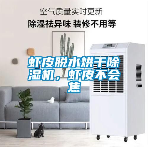 蝦皮脫水烘干除濕機(jī)，蝦皮不會(huì)焦