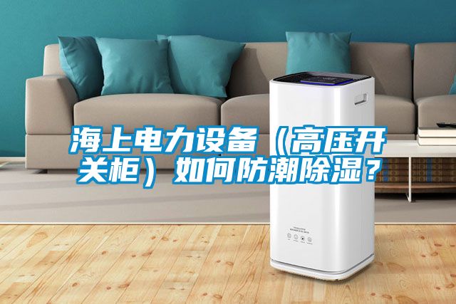 海上電力設(shè)備（高壓開關(guān)柜）如何防潮除濕？