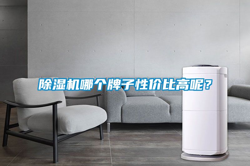除濕機(jī)哪個(gè)牌子性?xún)r(jià)比高呢？