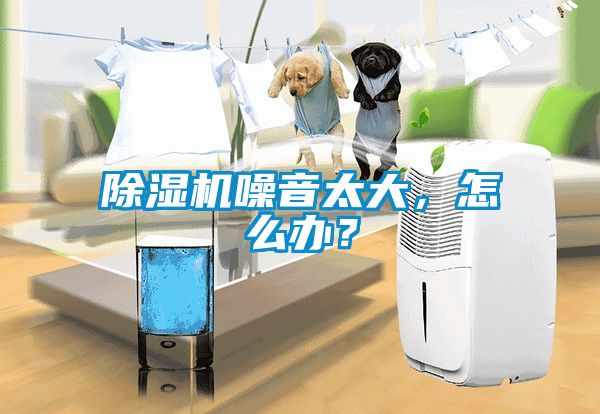 除濕機噪音太大，怎么辦？