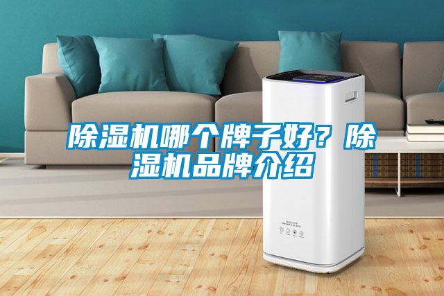 除濕機(jī)哪個(gè)牌子好？除濕機(jī)品牌介紹