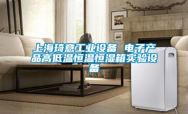 上海琦意工業(yè)設(shè)備 電子產(chǎn)品高低溫恒溫恒濕箱實(shí)驗設(shè)備
