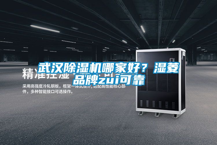 武漢除濕機(jī)哪家好？濕菱品牌zui可靠