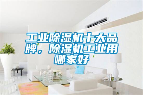 工業(yè)除濕機十大品牌，除濕機工業(yè)用哪家好