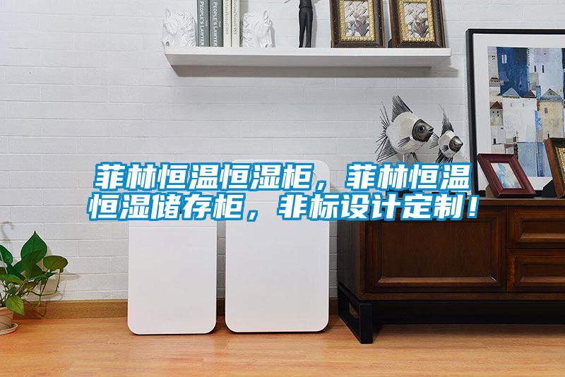 菲林恒溫恒濕柜，菲林恒溫恒濕儲存柜，非標設(shè)計定制！