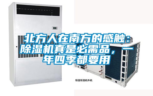 北方人在南方的感觸：除濕機真是必需品，一年四季都要用