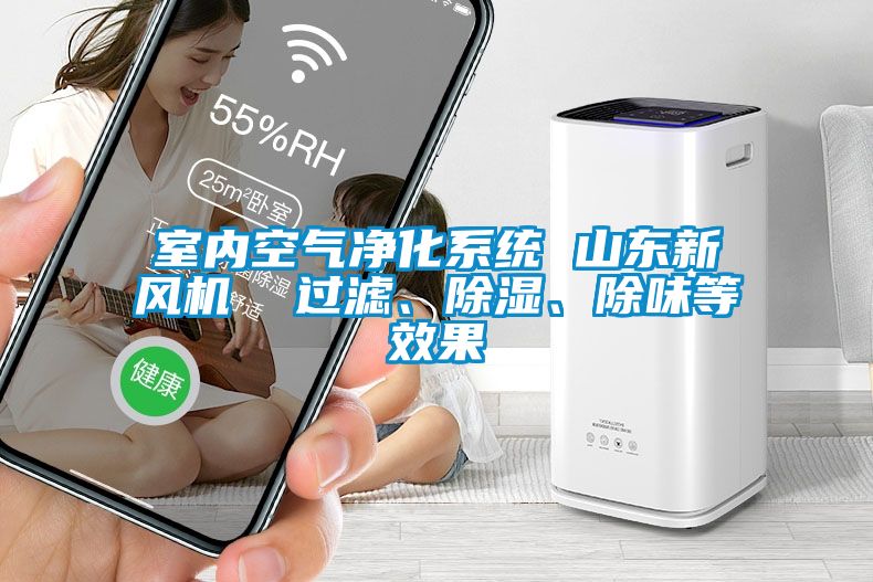 室內(nèi)空氣凈化系統(tǒng) 山東新風(fēng)機(jī)  過濾、除濕、除味等效果