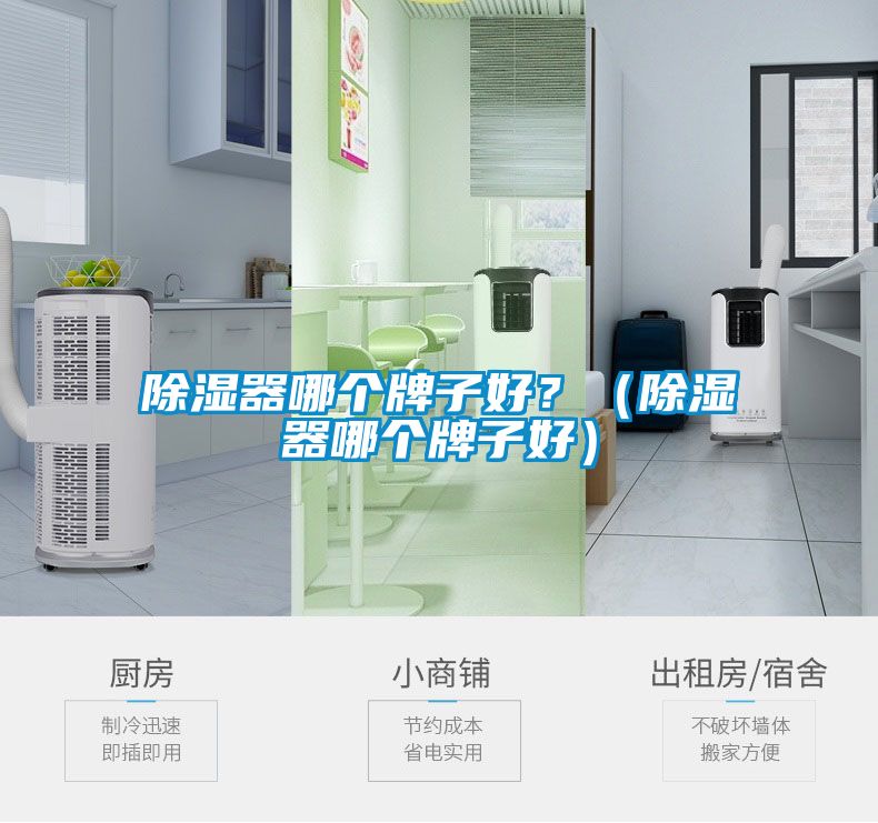 除濕器哪個(gè)牌子好？（除濕器哪個(gè)牌子好）
