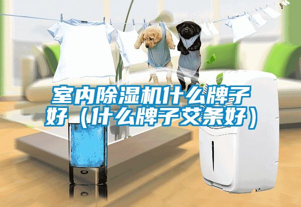 室內(nèi)除濕機什么牌子好（什么牌子艾條好）