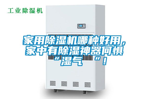 家用除濕機(jī)哪種好用，家中有除濕神器何懼 “濕氣 “！