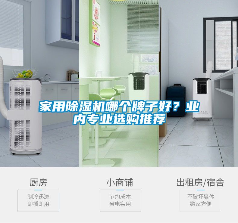 家用除濕機哪個牌子好？業(yè)內專業(yè)選購推薦
