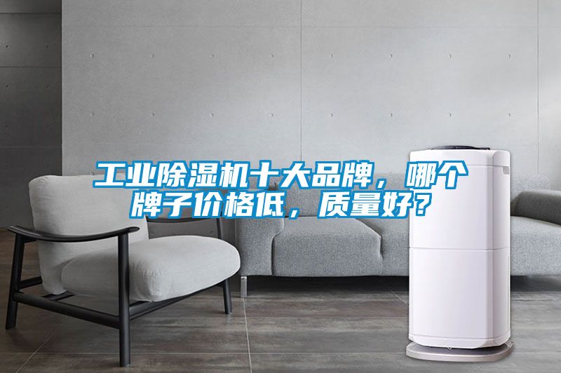 工業(yè)除濕機(jī)十大品牌，哪個(gè)牌子價(jià)格低，質(zhì)量好？