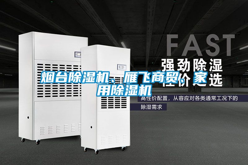 煙臺除濕機、雁飛商貿(mào)、家用除濕機