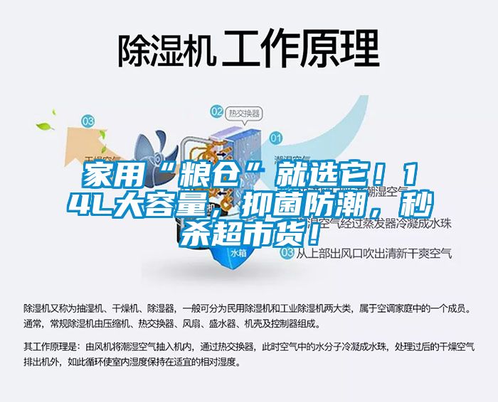 家用“糧倉”就選它！14L大容量，抑菌防潮，秒殺超市貨！