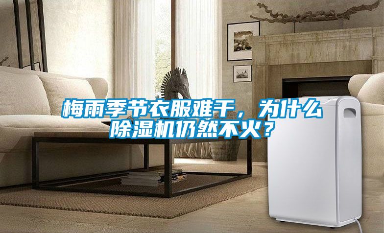 梅雨季節(jié)衣服難干，為什么除濕機(jī)仍然不火？