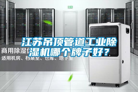 江蘇吊頂管道工業(yè)除濕機(jī)哪個(gè)牌子好？