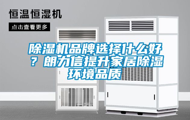 除濕機(jī)品牌選擇什么好？朗力信提升家居除濕環(huán)境品質(zhì)
