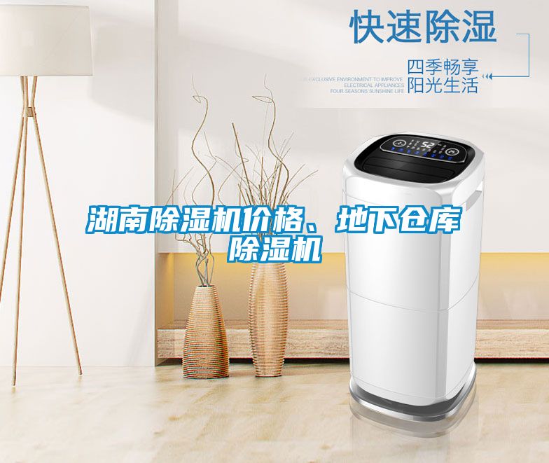 湖南除濕機(jī)價(jià)格、地下倉庫除濕機(jī)