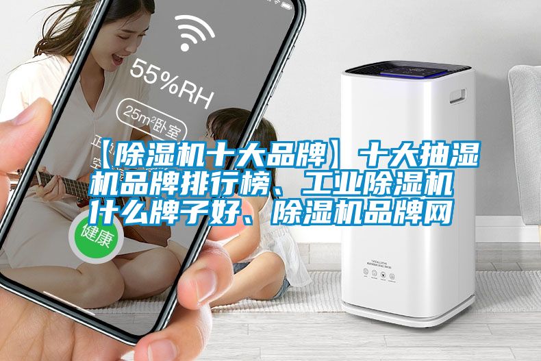 【除濕機(jī)十大品牌】十大抽濕機(jī)品牌排行榜、工業(yè)除濕機(jī)什么牌子好、除濕機(jī)品牌網(wǎng)