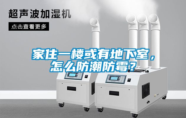 家住一樓或有地下室，怎么防潮防霉？