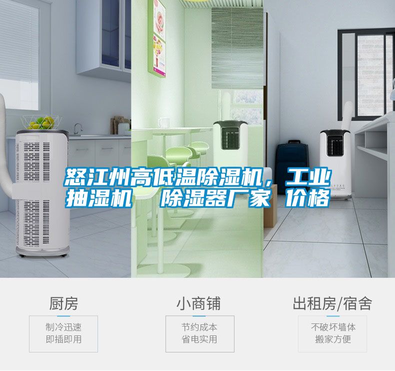 怒江州高低溫除濕機(jī)，工業(yè)抽濕機(jī)  除濕器廠家 價(jià)格