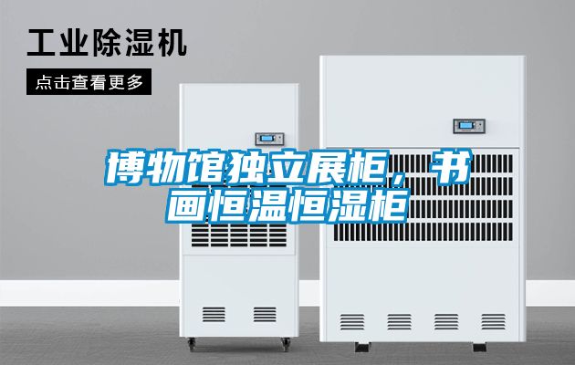 博物館獨立展柜，書畫恒溫恒濕柜