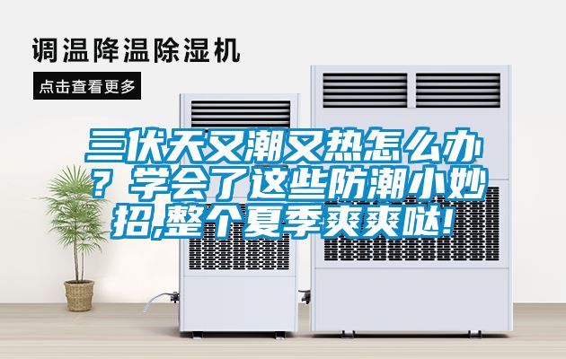 三伏天又潮又熱怎么辦？學(xué)會(huì)了這些防潮小妙招,整個(gè)夏季爽爽噠!