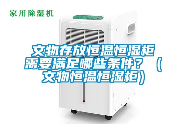 文物存放恒溫恒濕柜需要滿足哪些條件？（文物恒溫恒濕柜）