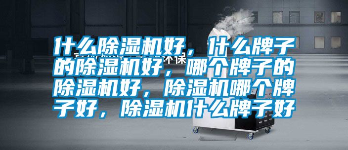 什么除濕機(jī)好，什么牌子的除濕機(jī)好，哪個(gè)牌子的除濕機(jī)好，除濕機(jī)哪個(gè)牌子好，除濕機(jī)什么牌子好