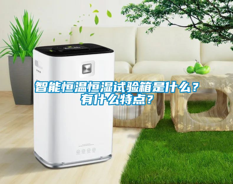 智能恒溫恒濕試驗(yàn)箱是什么？有什么特點(diǎn)？