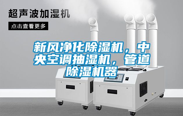 新風(fēng)凈化除濕機(jī)，中央空調(diào)抽濕機(jī)，管道除濕機(jī)器