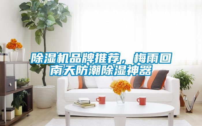 除濕機(jī)品牌推薦，梅雨回南天防潮除濕神器