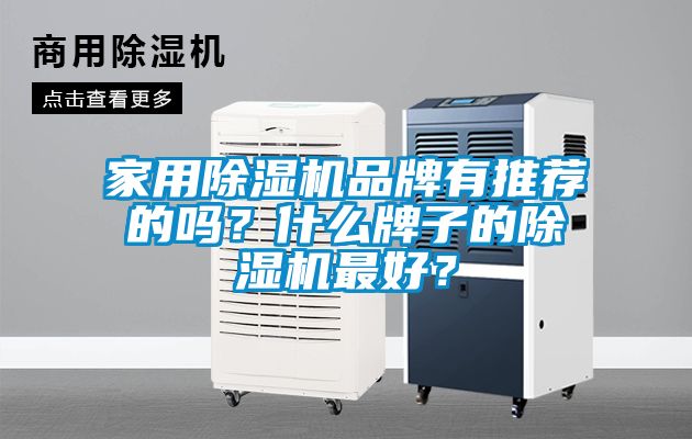 家用除濕機(jī)品牌有推薦的嗎？什么牌子的除濕機(jī)最好？