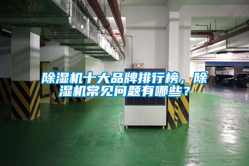 除濕機(jī)十大品牌排行榜，除濕機(jī)常見(jiàn)問(wèn)題有哪些？