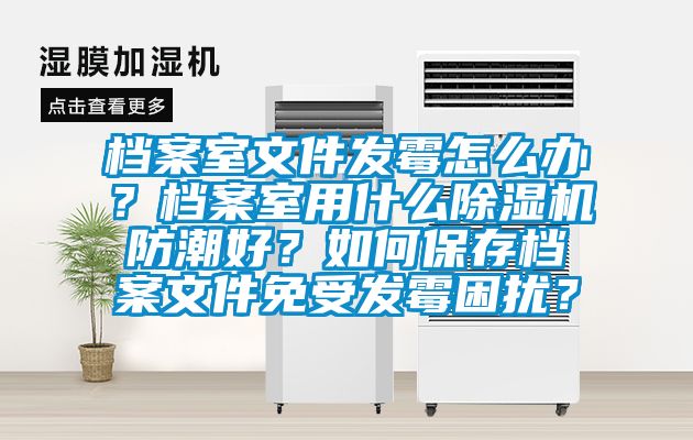 檔案室文件發(fā)霉怎么辦？檔案室用什么除濕機(jī)防潮好？如何保存檔案文件免受發(fā)霉困擾？