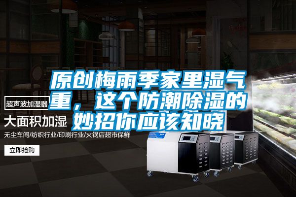 原創(chuàng)梅雨季家里濕氣重，這個防潮除濕的妙招你應該知曉