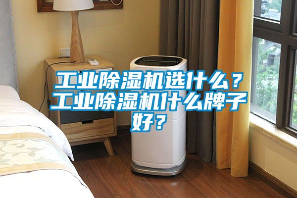 工業(yè)除濕機選什么？工業(yè)除濕機什么牌子好？