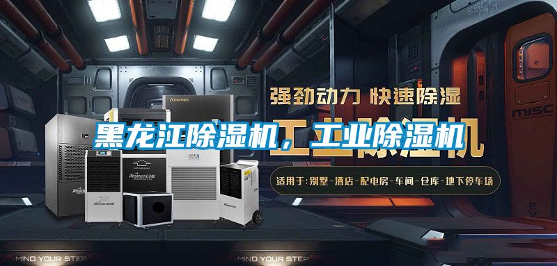 黑龍江除濕機(jī)，工業(yè)除濕機(jī)