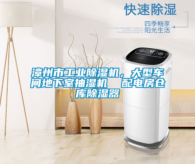 漳州市工業(yè)除濕機(jī)，大型車間地下室抽濕機(jī)  配電房倉庫除濕器