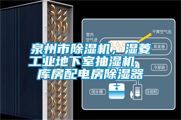 泉州市除濕機(jī)，濕菱工業(yè)地下室抽濕機(jī)  庫(kù)房配電房除濕器