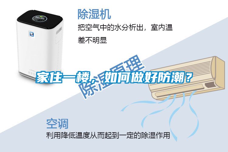 家住一樓，如何做好防潮？