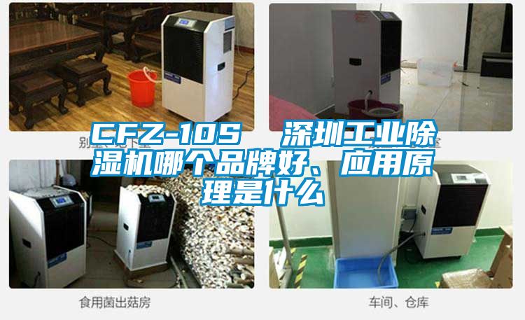 CFZ-10S  深圳工業(yè)除濕機(jī)哪個品牌好、應(yīng)用原理是什么
